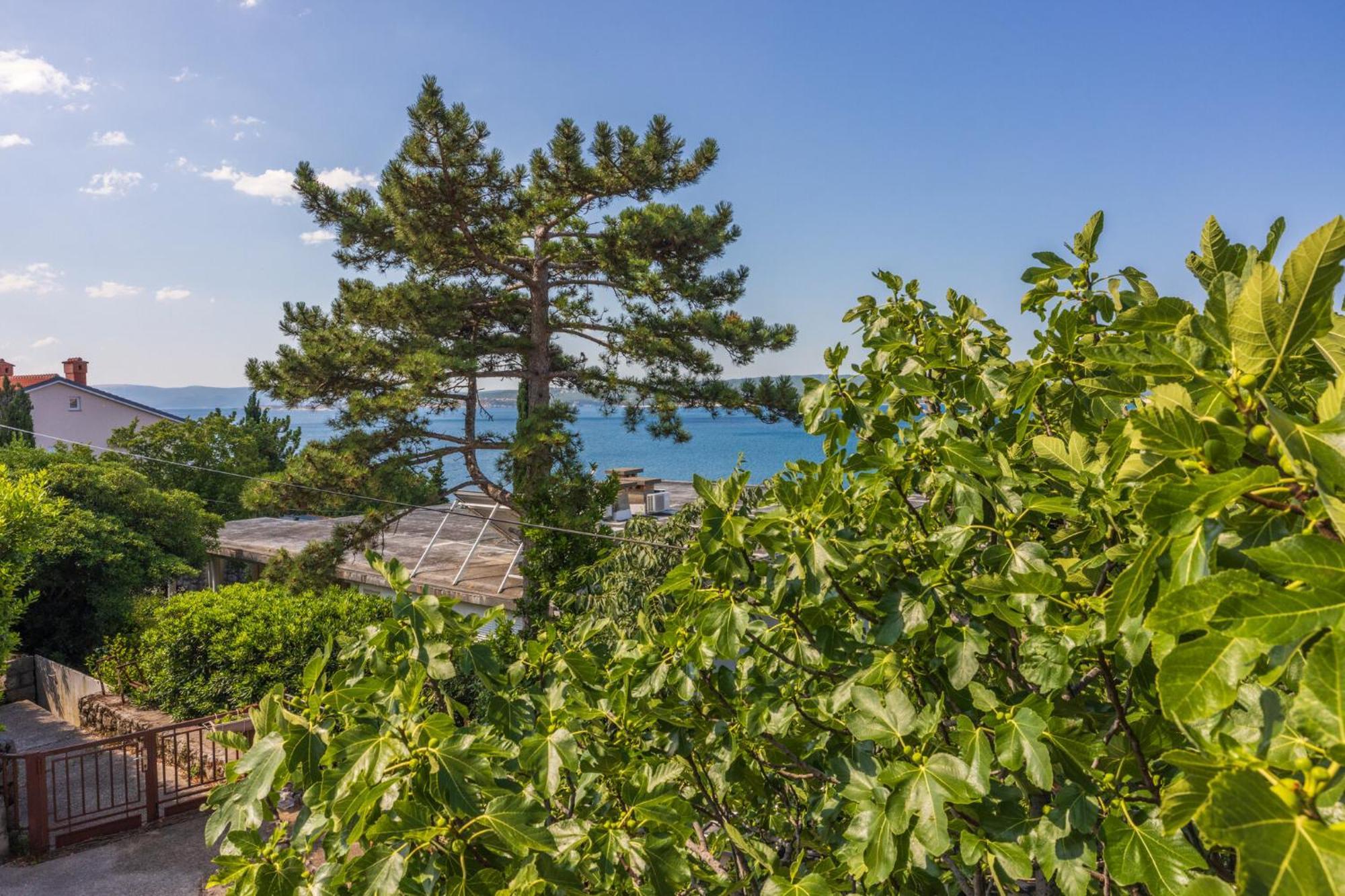 Apartmani Azur Dramalj Dış mekan fotoğraf